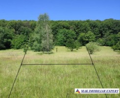 vand-teren-1357-mp-extravilan-pietrosani-domnesti-arges-1