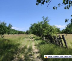 vand-teren-1357-mp-extravilan-pietrosani-domnesti-arges-5