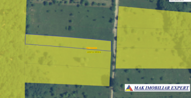 vand-teren-1357-mp-extravilan-pietrosani-domnesti-arges-7