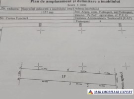 vand-teren-1357-mp-extravilan-pietrosani-domnesti-arges-6