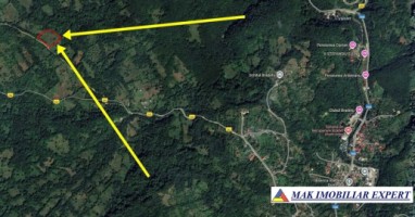 teren-7093-mp-intra-extravilan-de-vanzare-in-bradulet-arges-2