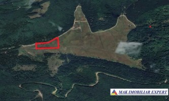 vand-teren-extravilan-1966-mp-2-loturi-molivis-arefu-arges-6