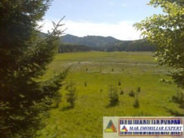 vand-teren-extravilan-1966-mp-2-loturi-molivis-arefu-arges-2