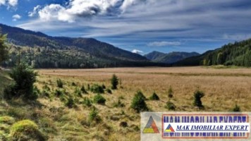 vand-teren-extravilan-1966-mp-2-loturi-molivis-arefu-arges-3