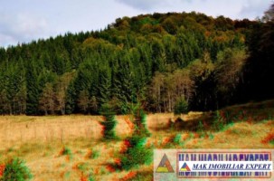 vand-teren-extravilan-1966-mp-2-loturi-molivis-arefu-arges-4