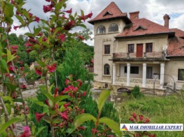 conac-14-camere-teren-6230-mp-bughea-de-jos-arges-4