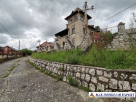 conac-14-camere-teren-6230-mp-bughea-de-jos-arges-5