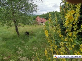 conac-14-camere-teren-6230-mp-bughea-de-jos-arges-36