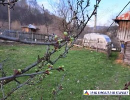 teren-800-mp-cu-casa-traditionala-si-anexa-corbi-arges-4