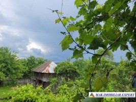 teren-800-mp-cu-casa-traditionala-si-anexa-corbi-arges-5