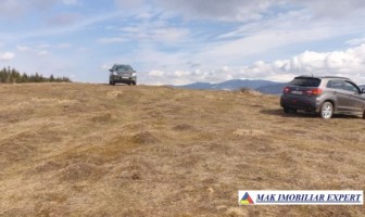 teren-6-ha-intraextravilan-cretisoara-campulung-arges-2