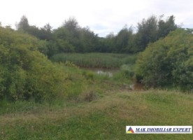 teren-6-ha-intraextravilan-cretisoara-campulung-arges-3
