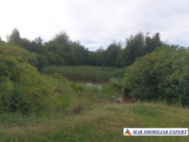 teren-6-ha-intraextravilan-cretisoara-campulung-arges-4