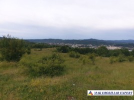 teren-6-ha-intraextravilan-cretisoara-campulung-arges-1