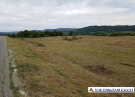 vand-teren-3-ha-intra-extravilan-in-draghici-mihaesti-arges-1