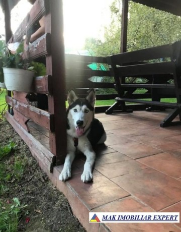 vand-pensiune-9-camere-teren-1800-mp-bradulet-arges-1