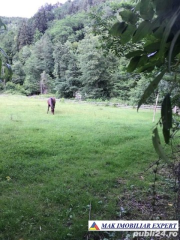 vand-pensiune-9-camere-teren-1800-mp-bradulet-arges-5