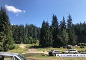 vand-pensiune-9-camere-teren-1800-mp-bradulet-arges-6