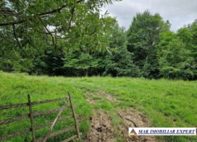 2-terenuri-8396-mp-extravilan-de-vanzare-in-bradulet-arges-1