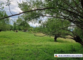 2-terenuri-8396-mp-extravilan-de-vanzare-in-bradulet-arges-2