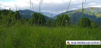 teren-munte-ieftin-4-ha-extravilan-in-nucsoara-arges