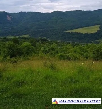 teren-munte-ieftin-4-ha-extravilan-in-nucsoara-arges-2