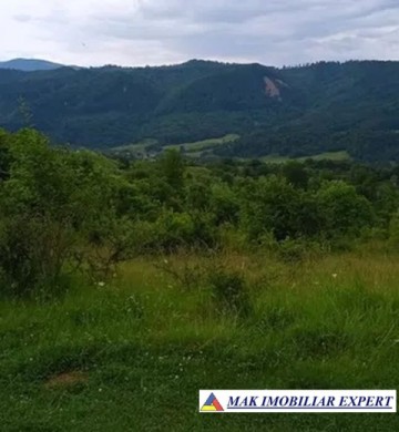 teren-munte-ieftin-4-ha-extravilan-in-nucsoara-arges-3