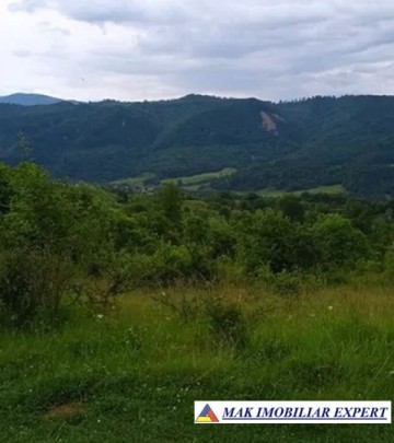 teren-munte-ieftin-4-ha-extravilan-in-nucsoara-arges-4
