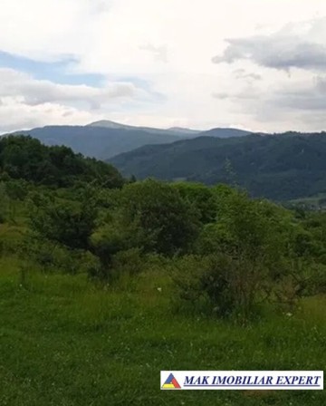 teren-munte-ieftin-4-ha-extravilan-in-nucsoara-arges-5