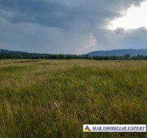 vand-teren-1042-ha-intravilan-nucsoara-arges-1