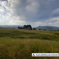 vand-teren-1042-ha-intravilan-nucsoara-arges-2