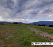 vand-teren-1042-ha-intravilan-nucsoara-arges-3