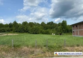 teren-2400-mp-intraextravilan-arges-godeni-capu-piscului-1