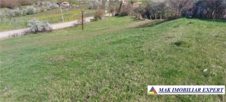 teren-de-vanzare-158-ha-intravilan-boteni-arges-1