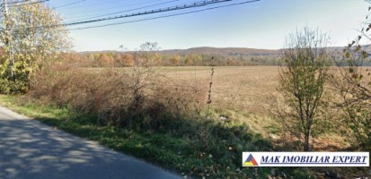 vand-teren-166-ha-intravilan-stalpeni-arges-6