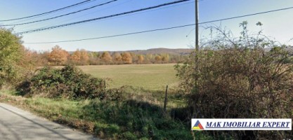 vand-teren-166-ha-intravilan-stalpeni-arges-5