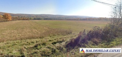 vand-teren-166-ha-intravilan-stalpeni-arges-3