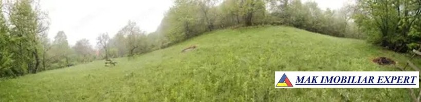 teren-2300-mp-extravilan-de-vanzare-nucsoara-arges