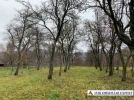 teren-8387-mp-intravilan-de-vanzare-bradulet-corbi-arges-1