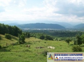 teren-3812-mp-extravilan-cretisoara-campulung-muscel-arges