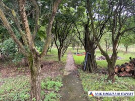 vila-5-camere-teren-1600-mp-de-vanzare-in-leresti-arges-33