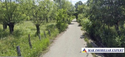 teren-intravilan-2-loturi-6621mp-poienarei-corbi-arges