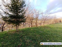 vile-in-proiect-teren-810-mp-in-campulung-muscel-arges-38