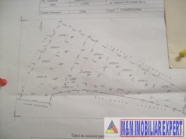 vile-in-proiect-teren-810-mp-in-campulung-muscel-arges-49