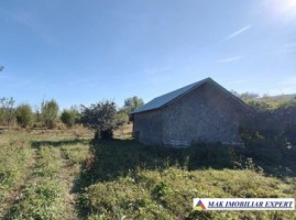 teren-7800-mp-intraextravilan-costesti-valsan-musatesti-ag