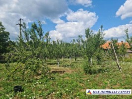 teren-7800-mp-intraextravilan-costesti-valsan-musatesti-ag-2