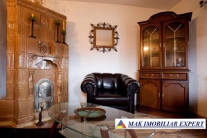 vila-tip-conac-4-camere-teren1366-mp-in-curtea-de-arges-ag-11