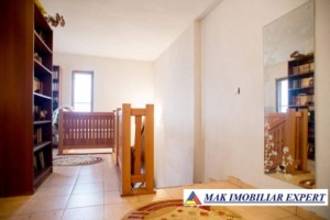 vila-tip-conac-4-camere-teren1366-mp-in-curtea-de-arges-ag-19