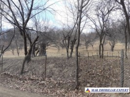 teren-2500-mp-intravilan-marcus-campulung-muscel-arges-1