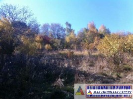 teren-2500-mp-intravilan-marcus-campulung-muscel-arges-6